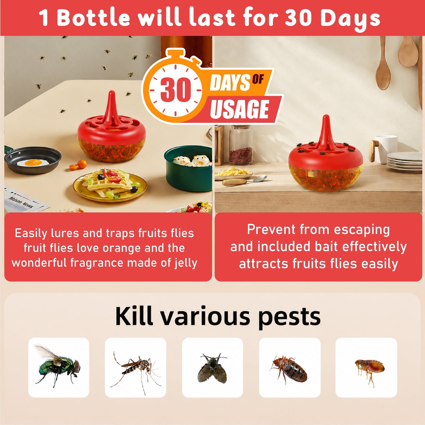HiFiveGo™ CleanNest Fly & Multi-Pest Bait Trap
