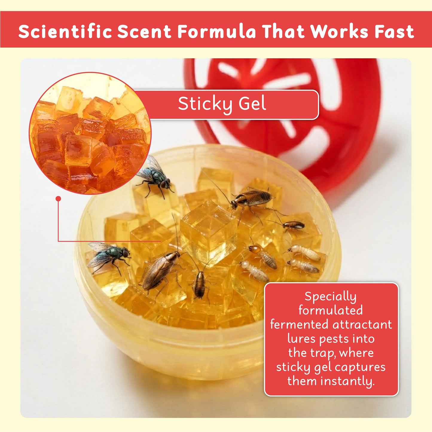 HiFiveGo™ CleanNest Fly & Multi-Pest Bait Trap