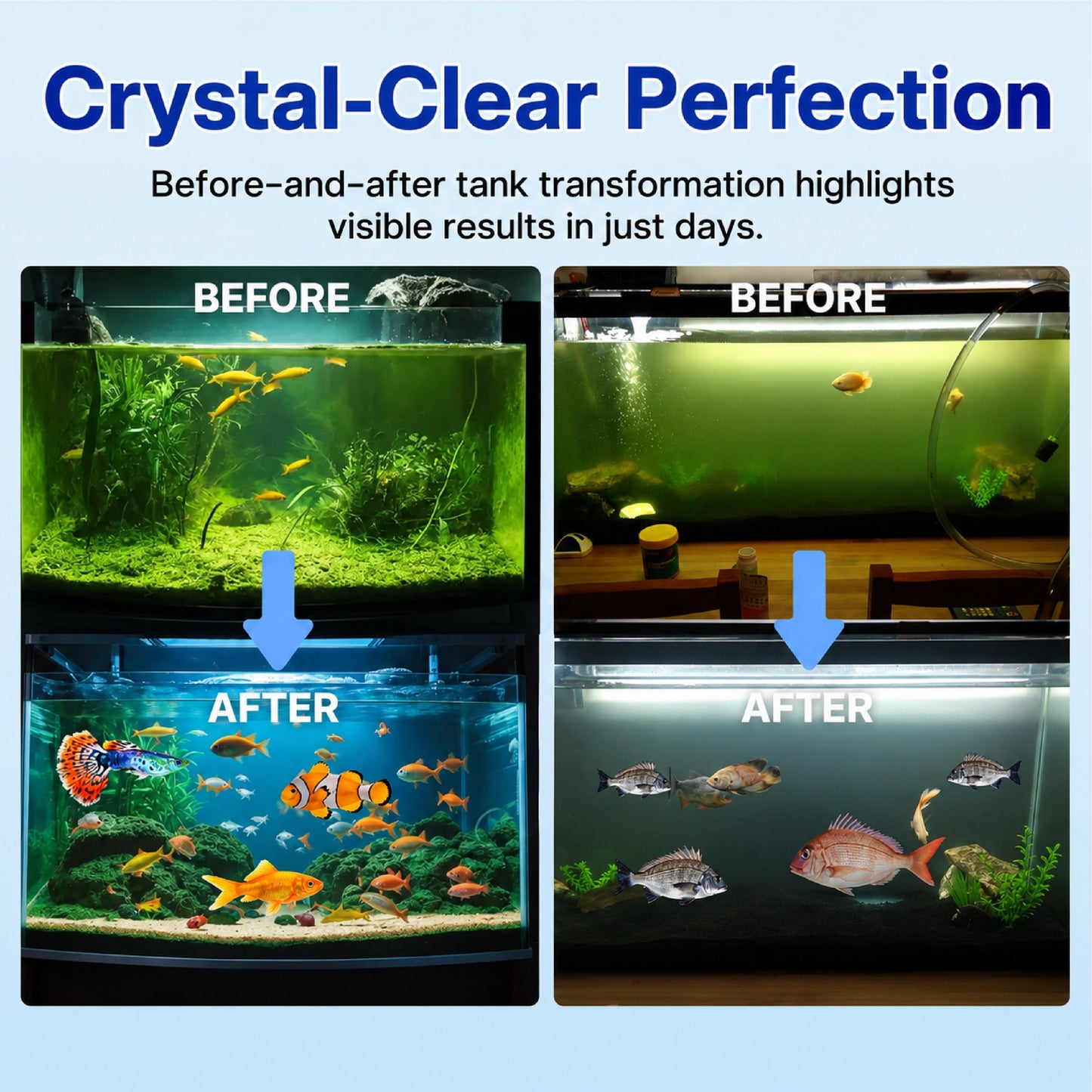 HiFiveGo™ FishVital Aquarium Blend